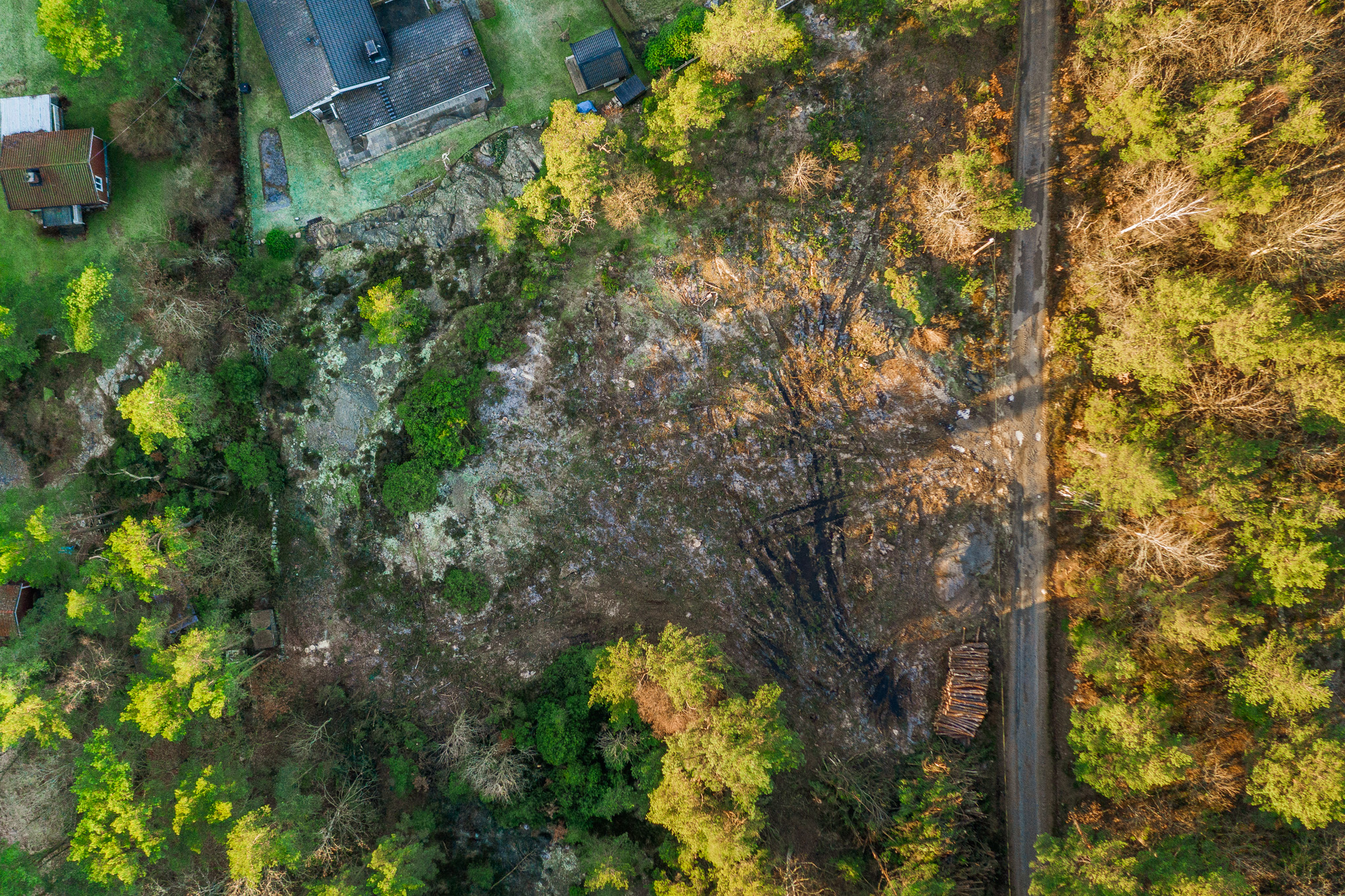 20210112-DJI_0836