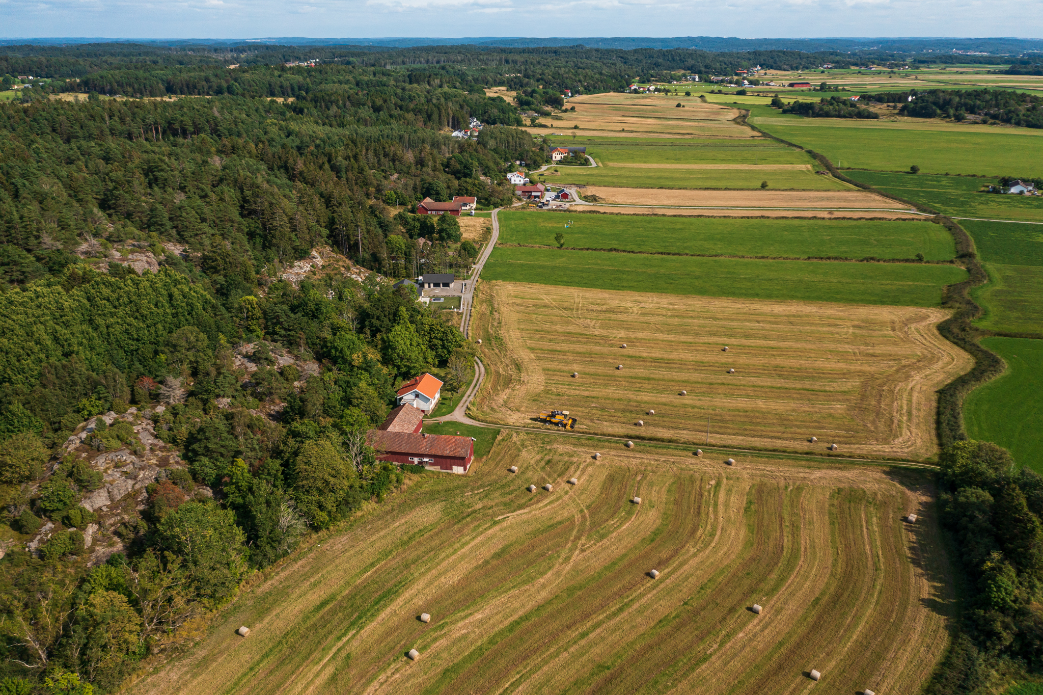 20210829-DJI_0632
