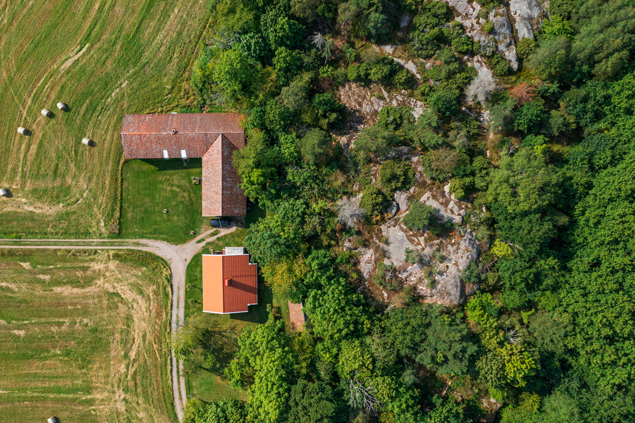 20210829-DJI_0640
