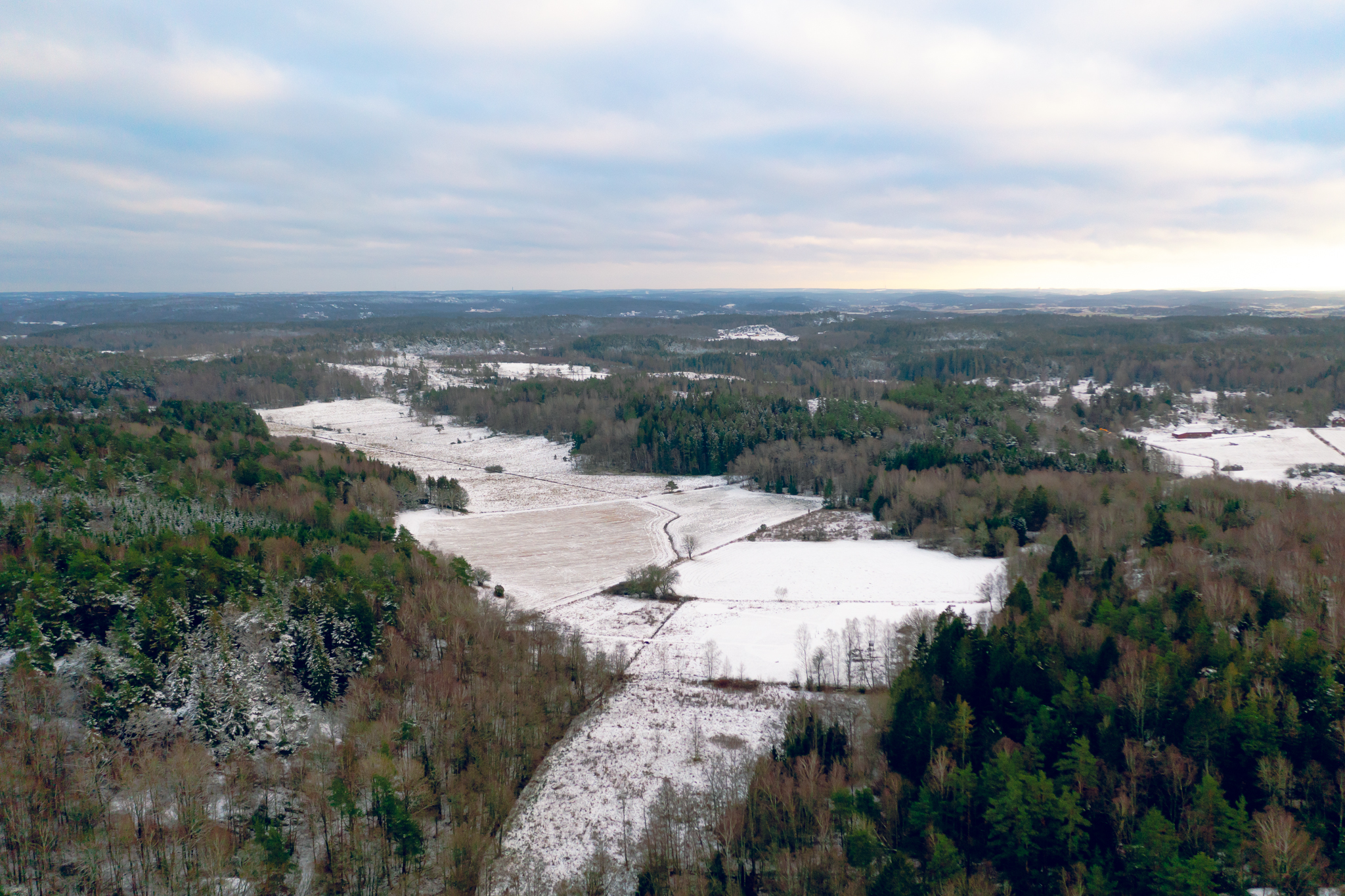 20220110-DJI_0030